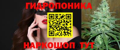 альфа пвп Славгород