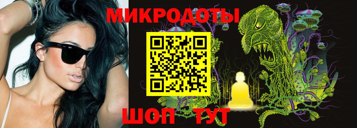 где купить наркоту  Псилоцибиновые грибы Magic Shrooms  Вход с VPN  Новый Уренгой  Галлюциногенные грибы Cubensis 